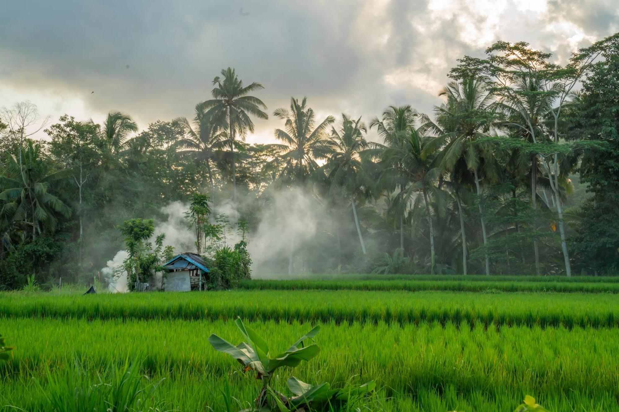 Kampung Uma Dawa Villas And Spa Ubud  Exterior photo