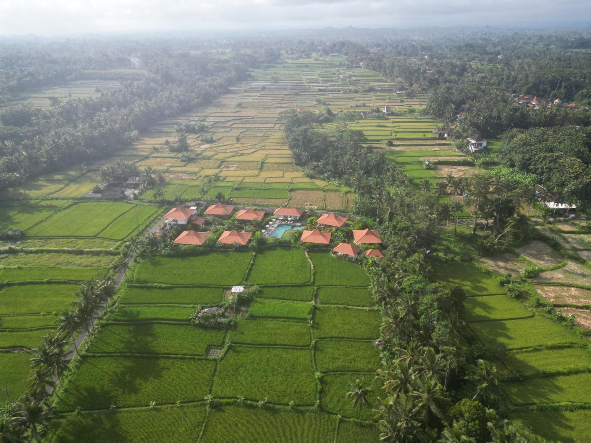 Kampung Uma Dawa Villas And Spa Ubud  Exterior photo